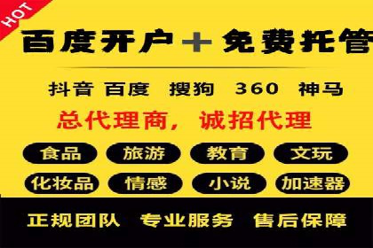 某知名企业SEM外包项目的成功经验分享